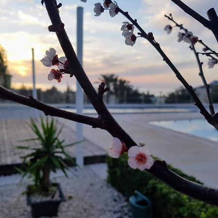 Villa Verdi: Luxury Villa With Private Pool Pegeia Exterior foto