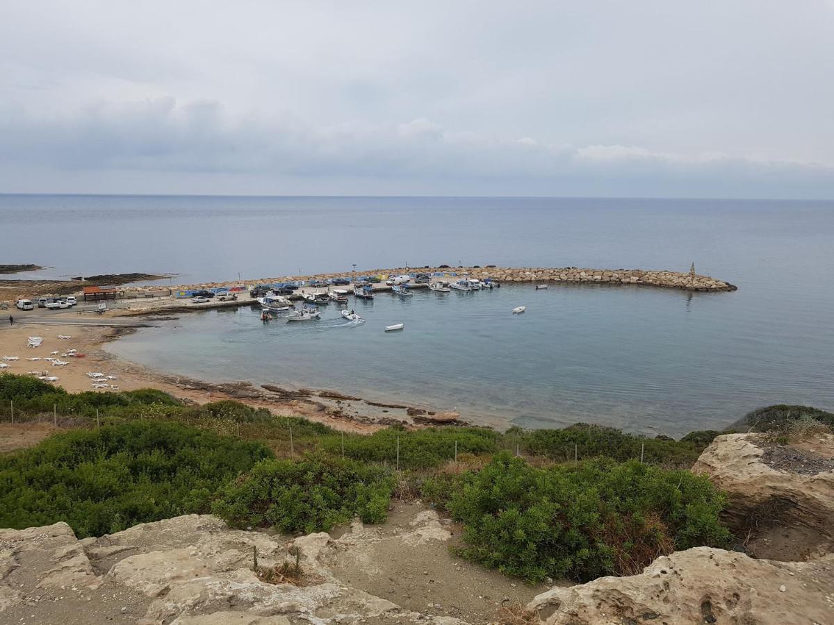 Villa Verdi: Luxury Villa With Private Pool Pegeia Exterior foto